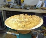 Fir Burl WIP 2b.jpg