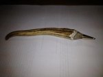 Elk Antler Pen.jpg