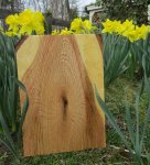 Daffodils.jpg Daffodils.jpg
