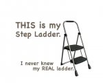 Step.Ladder.jpg