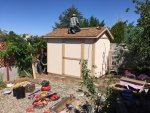 Shed Construction 10 800.jpg