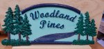 woodland pines-9.jpg