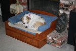 Dog Bed Frame (32).jpg