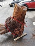 Dave's Burl Annotated.jpg