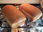 New ovwn first loaves.jpg